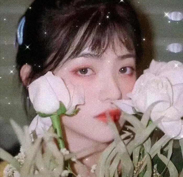 危机总动员